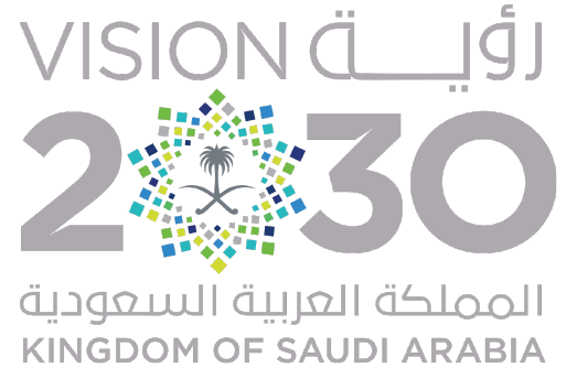 Vision 2030 Saudi Arabia